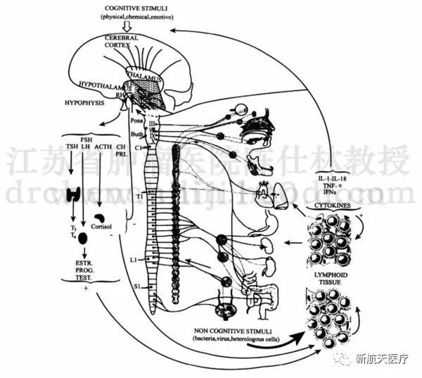 1690861671229538.jpg 22.jpg